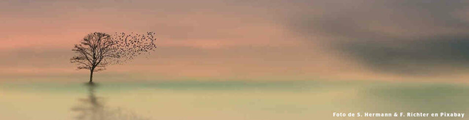 Resumen pleno abril 2021 – vacío Resumen pleno abril 2021 - vacío